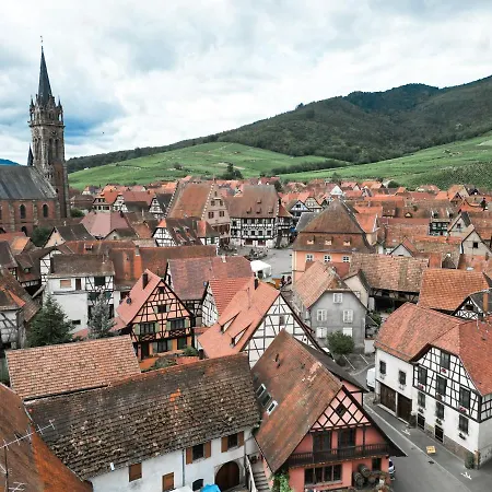 Cosy Sur La Route Des Vins D'alsace Apartament