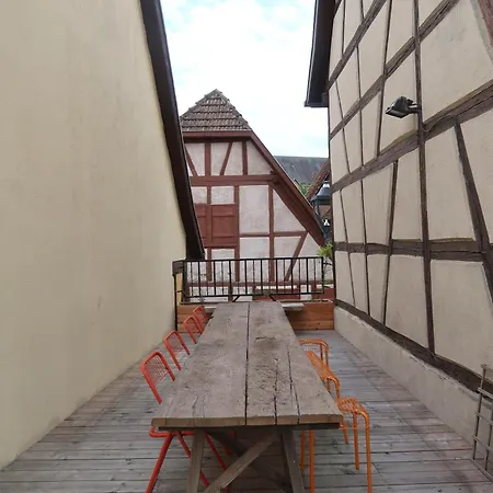 Cosy Sur La Route Des Vins D'alsace