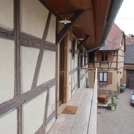 Cosy Sur La Route Des Vins D'alsace Dambach