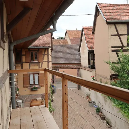 Cosy Sur La Route Des Vins D'alsace Apartament