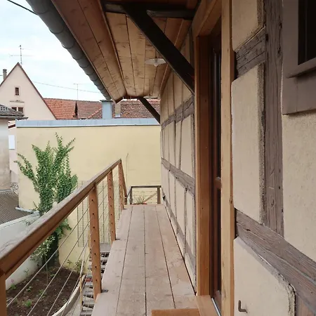 Cosy Sur La Route Des Vins D'alsace アパート *