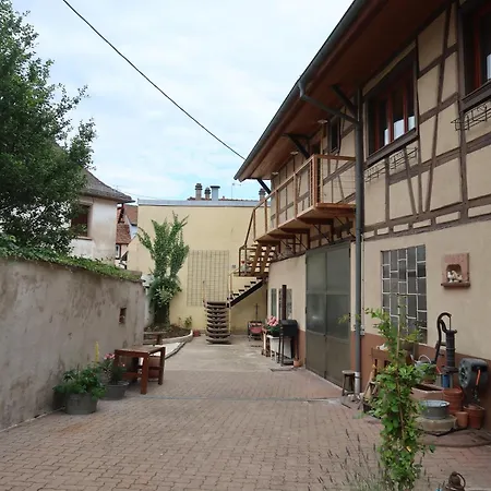 Cosy Sur La Route Des Vins D'alsace * Dambach